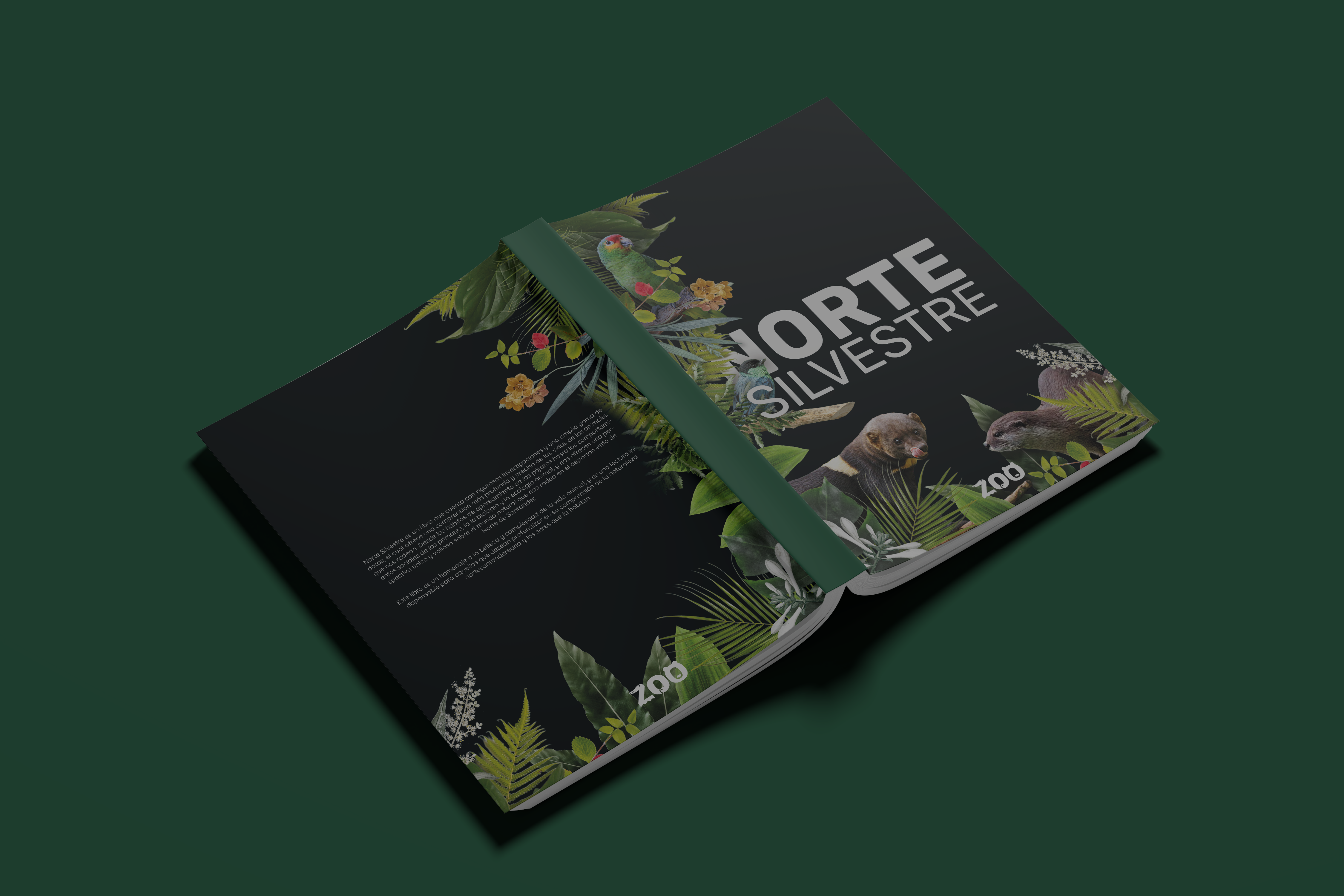 https://imkaroltdesign.com/wp-content/uploads/2025/05/03-Portrait-Softcover-Book-Mockup-web.png